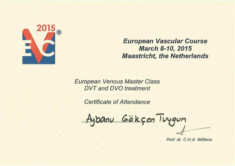 Certificate EVC DVT Class 2015
