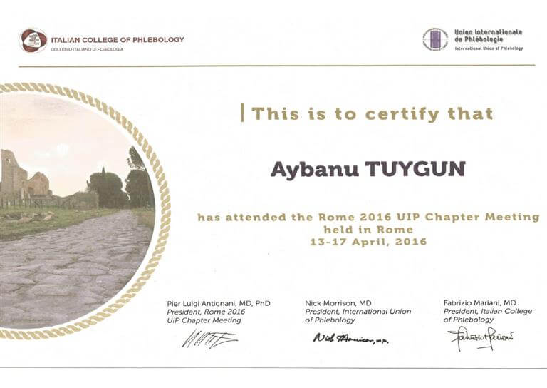 Certificate UIP 2016