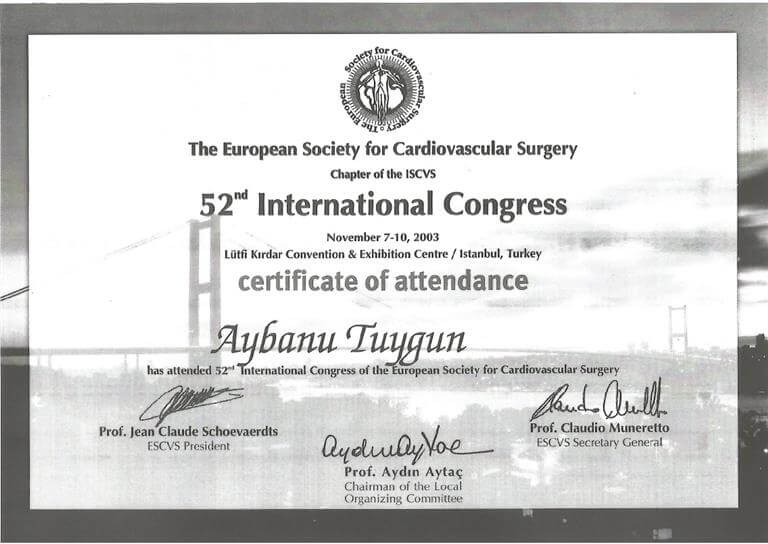 ESCVS Congress 2003