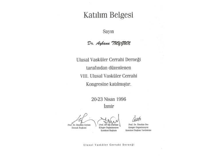 UVCD Kongre 1996