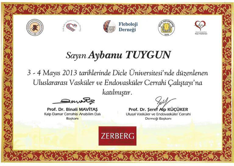 UVEVC Çalıştayı 2013