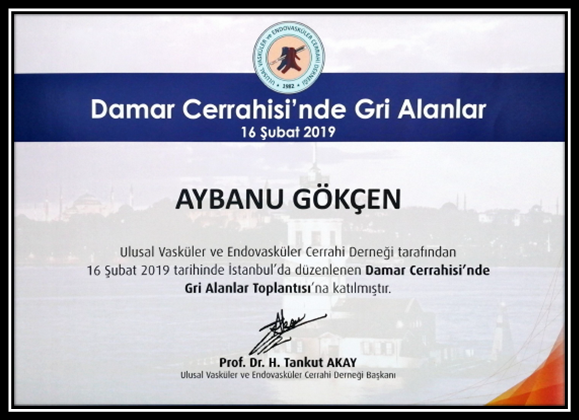 Damar Cerrahisinde Gri Alanlar (Katılımcı) Şubat 2019 (İstanbul)