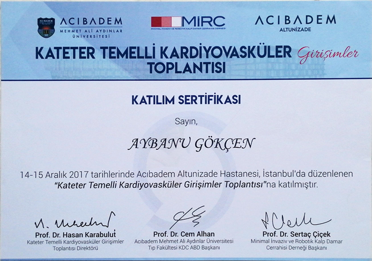 Kateter Temelli Kardiyovasküler Girişimler (Katılımcı), Aralık 2017 (İstanbul)