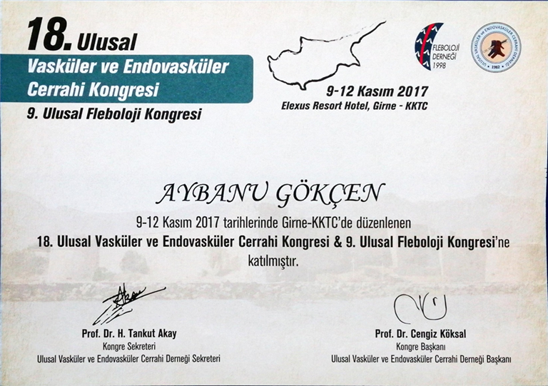 Vasküler Endovasküler Cerrahi Kongresi (Katılımcı) Kasım 2017