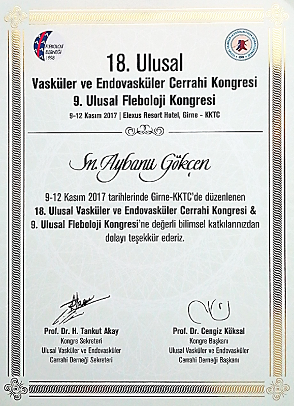 Vasküler Endovasküler Cerrahi Kongresi (Konuşmacı) Kasım 2017