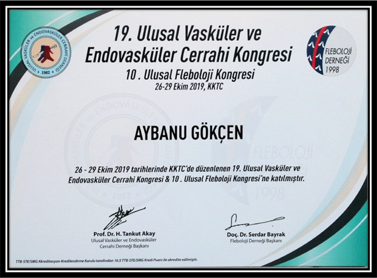 Vasküler Evdovasküler Cerrahi  (Katılımcı) Ekim 2019 (Kıbrıs)