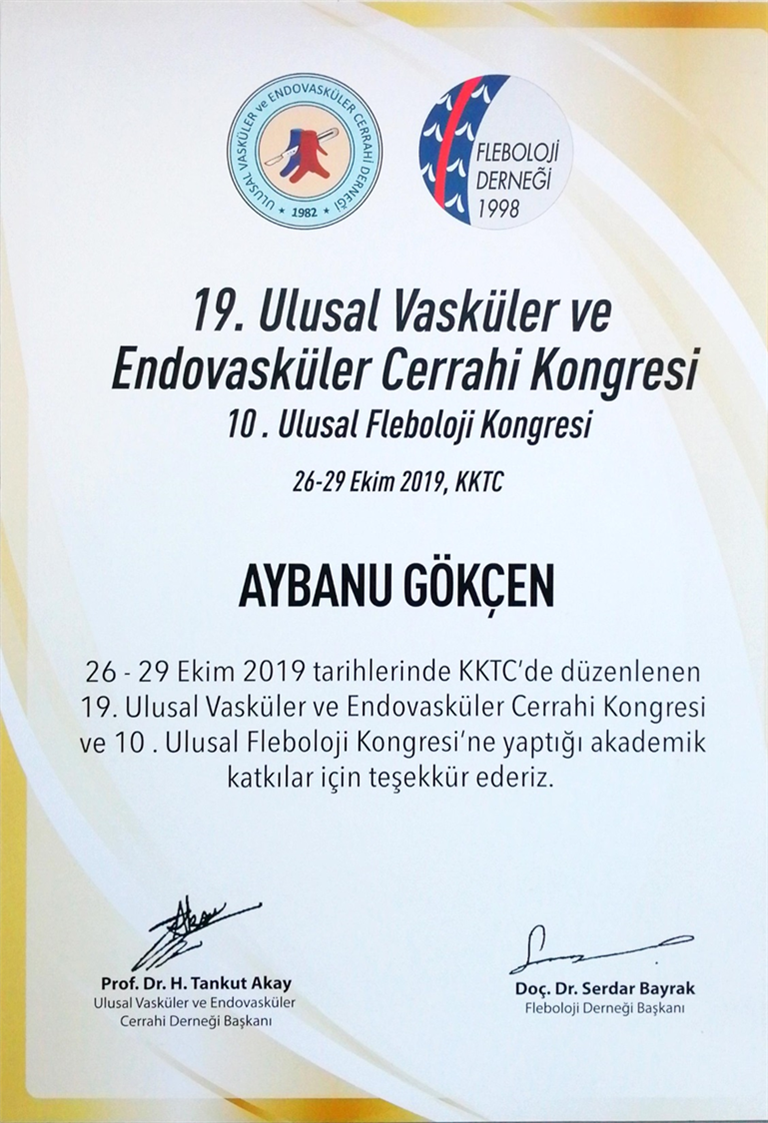 Vasküler Evdovasküler Cerrahi (Konuşmacı) Ekim 2019 (Kıbrıs)